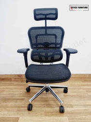 ErgoHuman Elite All Mesh Office Chair with Headrest