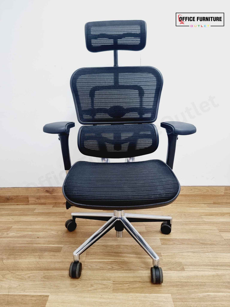 ErgoHuman Elite All Mesh Office Chair with Headrest
