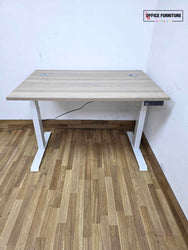 Electric Height Adjustable Desk 120x80cm – Light Grey Oak