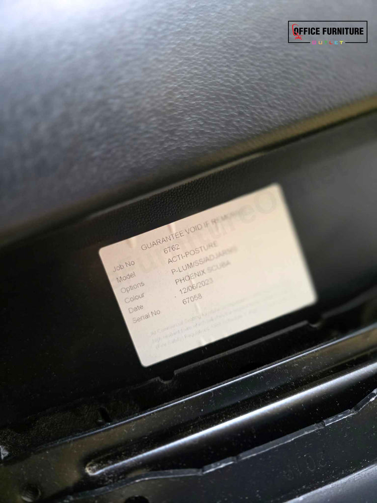 Blue Posturite Ergonomic Office Swivel Chair (SC112)