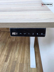 Electric Height Adjustable Desk 120x80cm – Light Grey Oak
